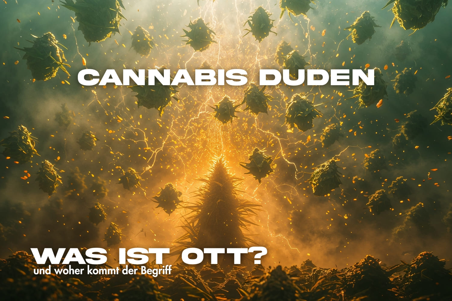 elfbar elfa kaufen Was ist Ott und woher kommt der Begriff?