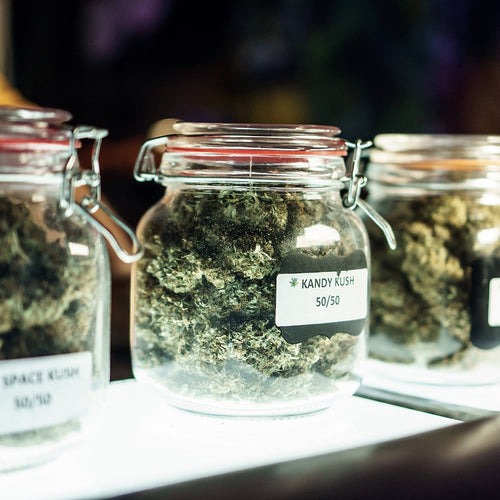 3 Glasbehälter die gefüllt mit Cannabis sind und von unten beleuchtet werden.