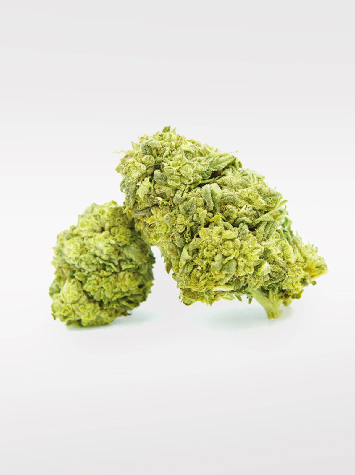 Frosted Cookies - Superior Blüte 55% - OnlyGrams