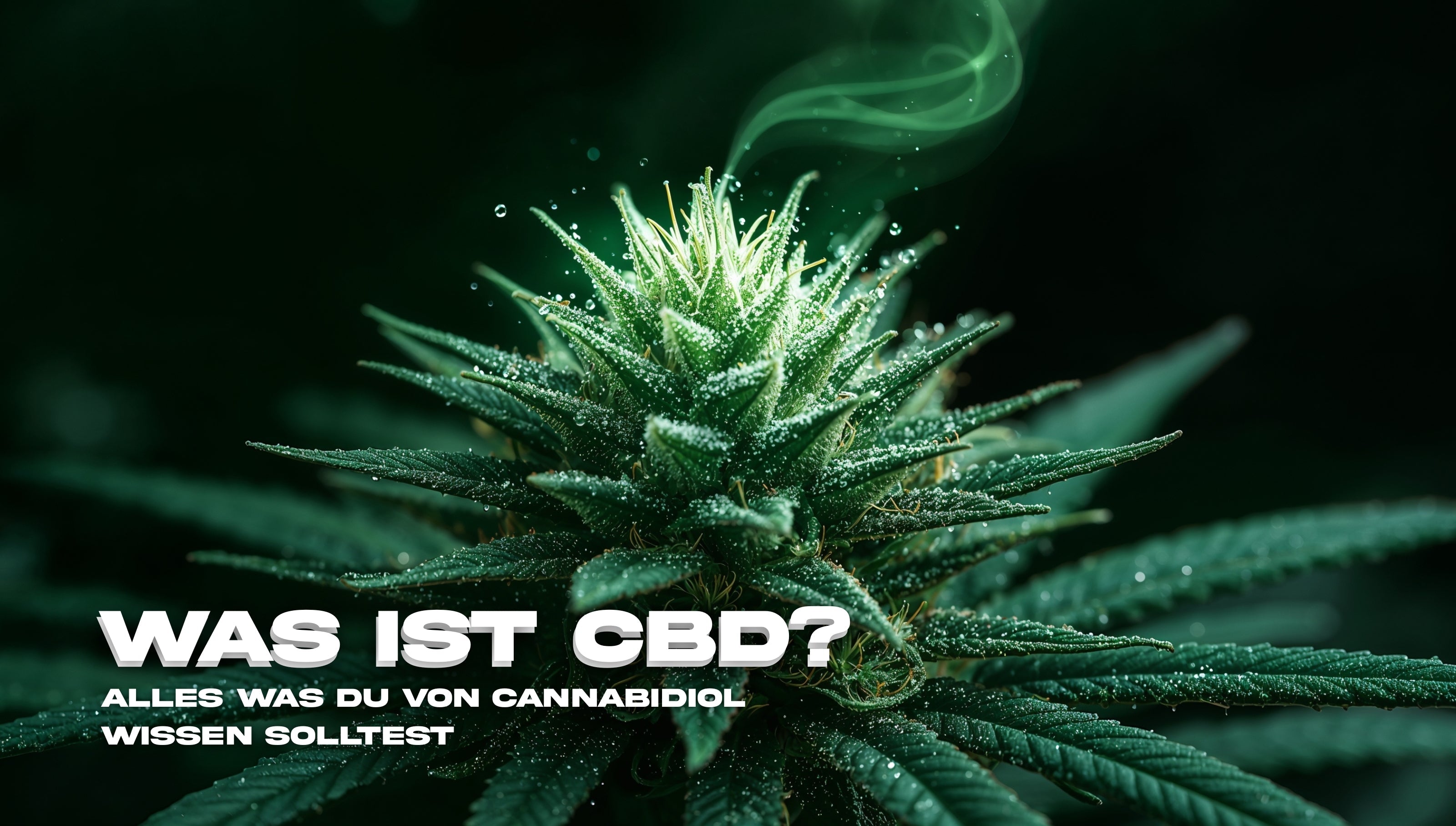 Makroaufnahme einer grünen Cannabisblüte mit sichtbaren Trichomen und aufsteigendem Dampf vor dunklem Hintergrund, thematisch zur Erklärung von CBD und Cannabidiol.