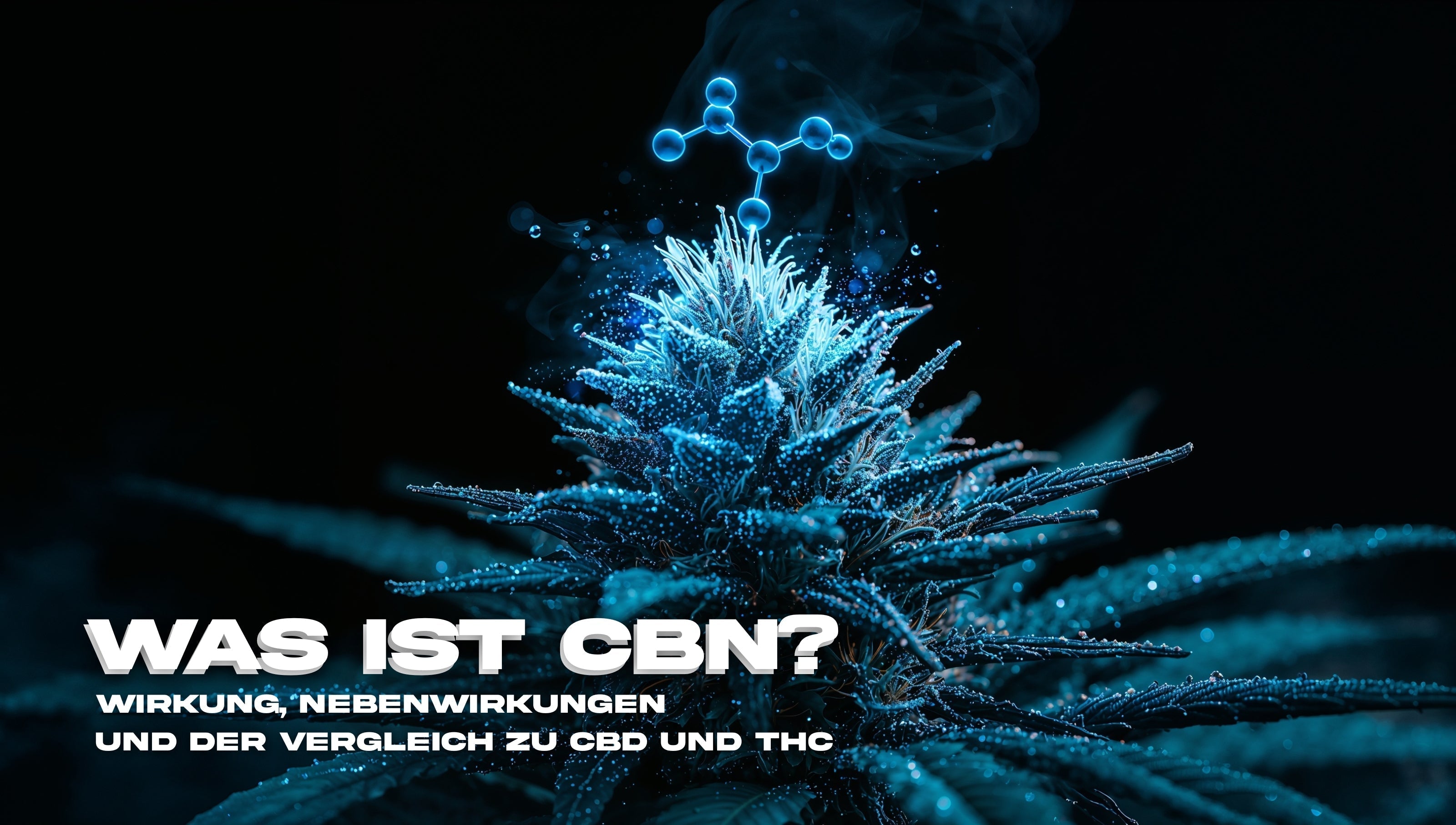 Makroaufnahme einer harzreichen Cannabisblüte bei Nacht mit leuchtend blau visualisiertem CBN-Molekül über der Pflanze, dunkler Hintergrund, wissenschaftlich-ästhetische Darstellung zu Wirkung und Vergleich von CBN mit CBD und THC.