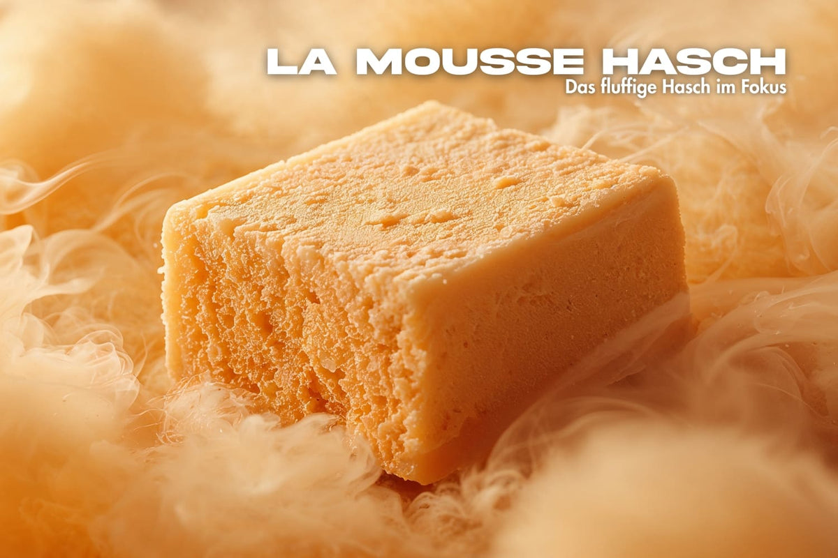 La Mousse Hash – Das fluffige Hasch im Fokus