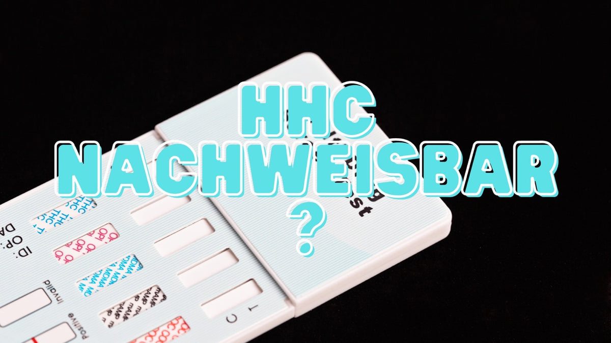 hhc vape im blut nachweisbar Ist HHC nachweisbar ? Drogentest und MPU