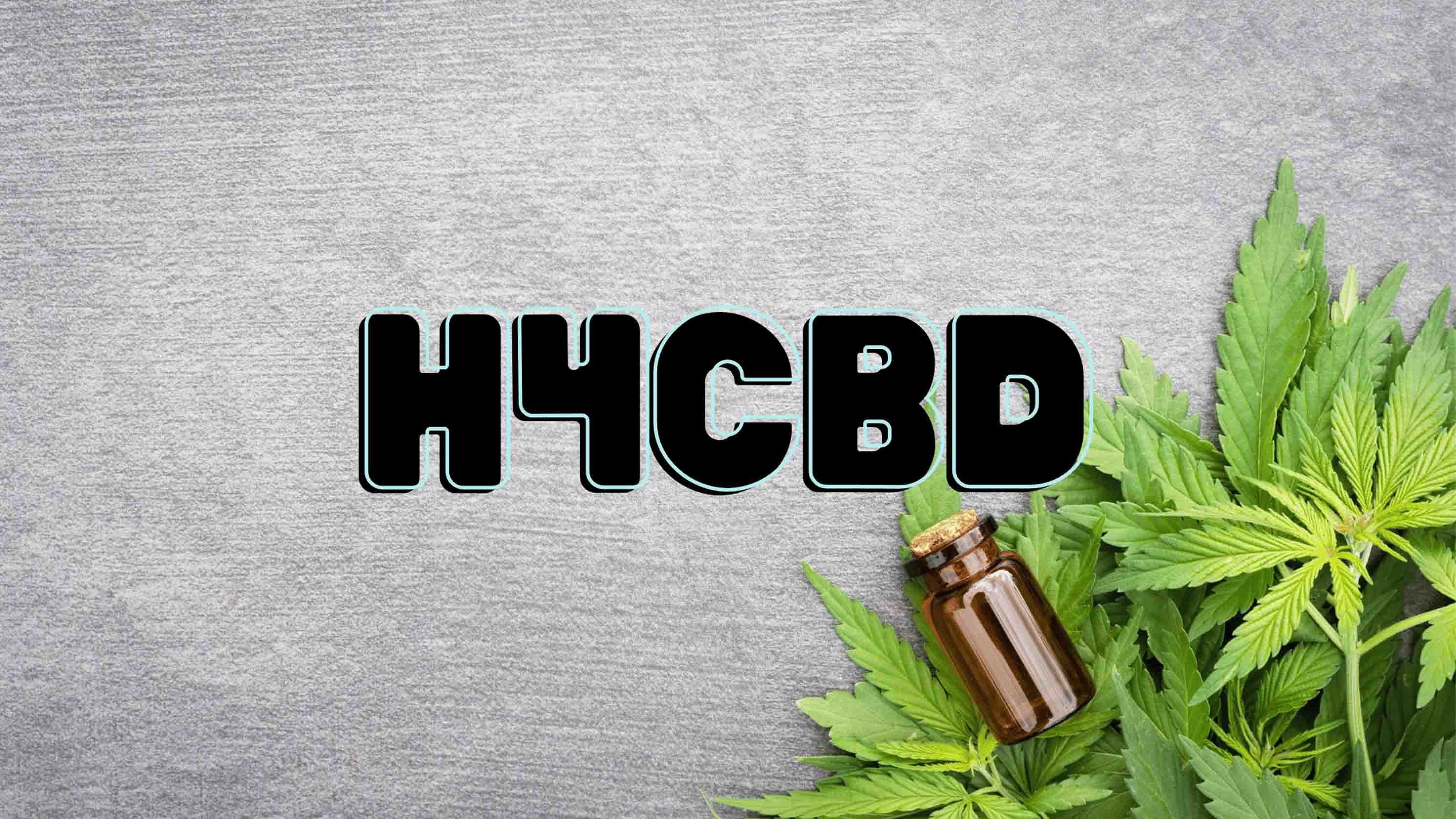 Cannabisblätter mit der Überschrift "was ist H4CBD"