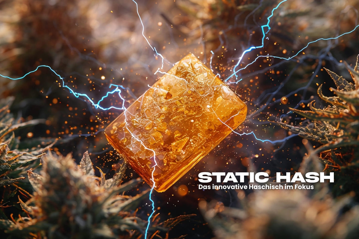 Static Hash – das innovative Haschisch im Fokus