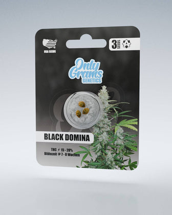 Black Domina THC-Seeds - OnlyGrams