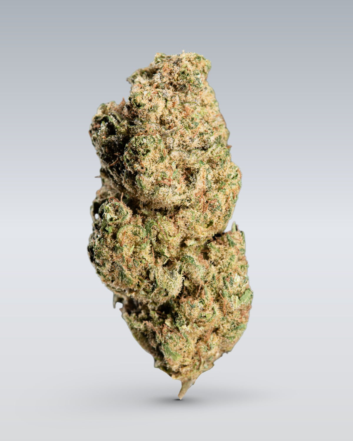 CBD Blüten Probierset | 3 Custom Bags