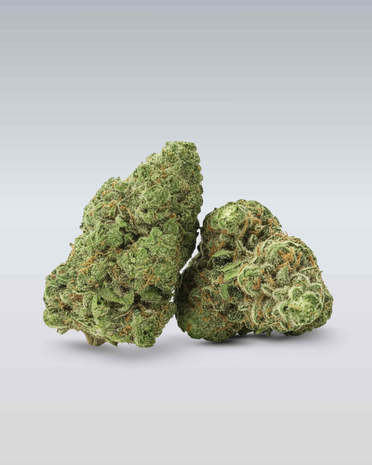 OnlyGrams – Dein Nr. 1 Shop für Premium THC Samen & Cannabis-Produkte